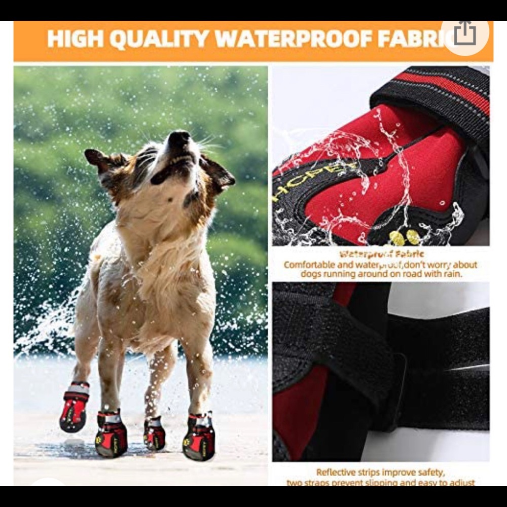 HC Pet shoes for dogs. Super cute and protective of our little fur kids feet!